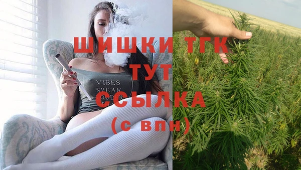 хмурый Верея