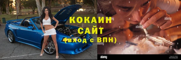 хмурый Верея