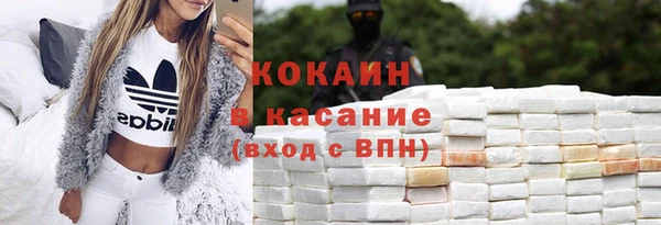 хмурый Верея