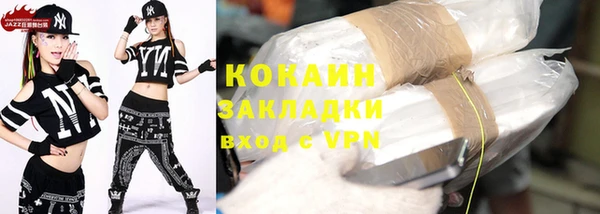 хмурый Верея
