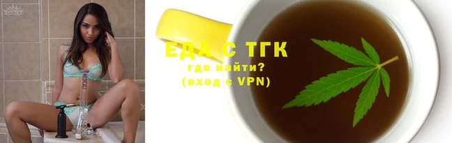 эйфоретик Бородино