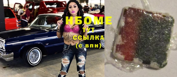 хмурый Верея