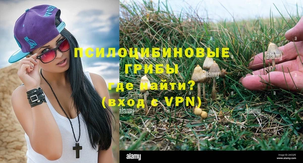 ALPHA-PVP Верхний Тагил
