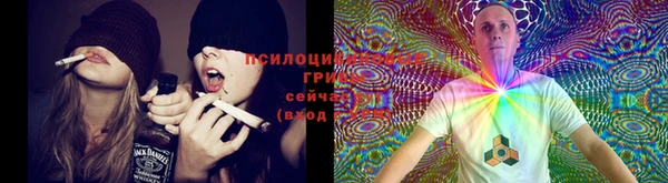 дистиллят марихуана Володарск
