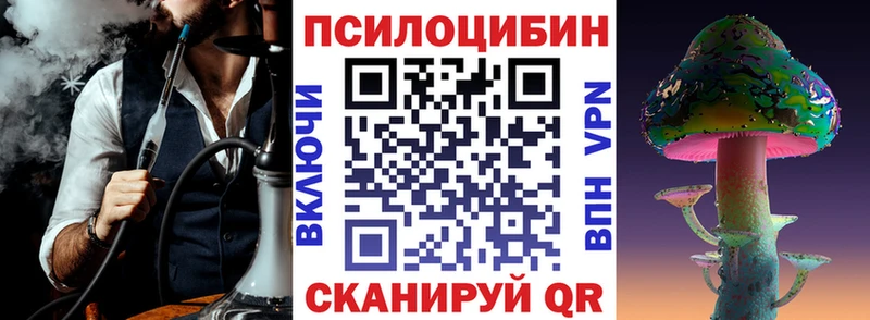 цены   кракен tor  Галлюциногенные грибы MAGIC MUSHROOMS  Верея 